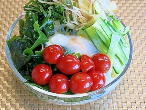 みょうがと夏野菜のサラダうどん〔＃151〕